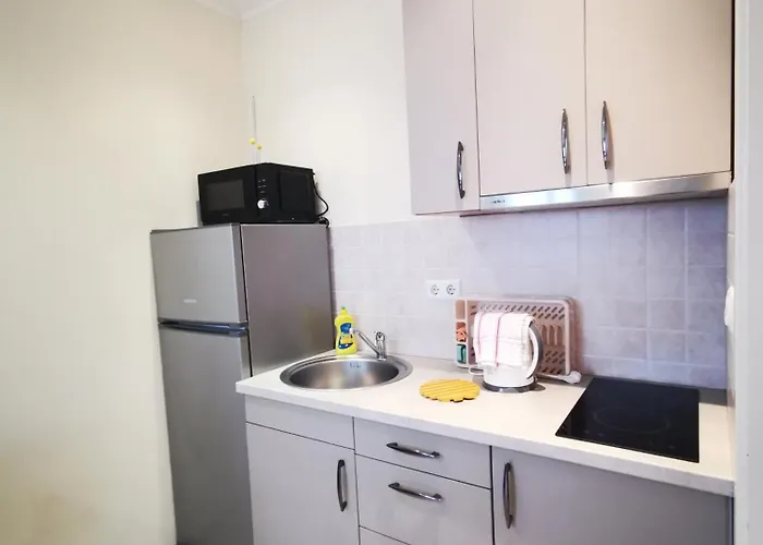Meressa Nina&leo Apartment Novigrad Istria